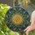 Golden Sunburst Mandala Floral Star - Tiffany Stained Glass Jewel Tone Flora Fauna Mosaic Art Stained Glass Suncatcher - 2