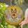 German Shepherd Dog Rainbow Wings Stained Glass Art Rocky Pastel Floral Sunburst Mosaic Stained Glass Suncatcher - 2