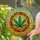 Intricately Veined Cannabis Leaf Stained Glass Full Frame Mosaic Art Jewel Tones Stained Glass Suncatcher - 2
