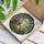 Stained Glass Ghost Watering Potted Plants Greenhouse Arch Window Art Decor Stained Glass Suncatcher - 3