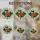 Red Strawberries White Daisy Flowers Golden Vines Tiffany Glass Mosaic Jewel Tone Stained Glass Suncatcher - 4