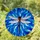 Intricate Dragonfly Tiffany Stained Glass Mosaic Blue Water Sky Glowing Jewel Tones Stained Glass Suncatcher - 1