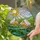 Bell Tents Stained Glass Tiffany Art - Glowing Camp Landscape Turquoise Water & Sun Sky Stained Glass Suncatcher - 2