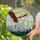 Bald Eagle Stained Glass Art - Snow-capped Mountain Forest Nature Sunlight Decor Stained Glass Suncatcher - 2