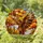 Majestic Bald Eagle Stained Glass Art - Tiffany Style Autumn Foliage Landscape Stained Glass Suncatcher - 1