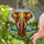 African Elephant Stained Glass, Daisy Flowers Landscape — Tiffany Style Wildlife Gift for Home Stained Glass Suncatcher - 2