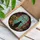 Black Cat Bookshelves Stained Glass Potted Plants Succulent Floral Window Panel Stained Glass Suncatcher - 3