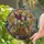 Stacked Books Daisies Lupines Cosmos Stained Glass Mosaic Tiffany Jewel Tones Stained Glass Suncatcher - 2