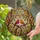 Stained Glass Songbirds on Branch with Autumn Spring Foliage - Detailed Tiffany Art Stained Glass Suncatcher - 2