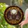 Stained Glass Bat Full Moon Purple Wings Tiffany Style Intricate Mosaic Artwork Stained Glass Suncatcher - 2