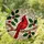 Male Cardinal Stained Glass Art with Holly Leaves & Red Berries, Tiffany Mosaic Style Stained Glass Suncatcher - 1