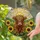 Highland Cow Sunflowers Stained Glass Mosaic Ladybug - Colorful Green Hills Sky Window Art Stained Glass Suncatcher - 2
