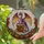 Purple Dragon Gold Coins Books Tiffany Style Art - Fantasy Home Decor Gift for Dragon Lovers Stained Glass Suncatcher - 2