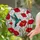 Hummingbird Red Poppy Stained Glass Mosaic - Vibrant Jewel Tone Tiffany Inspired Window Decor Stained Glass Suncatcher - 2