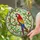 Vibrant Multi-Colored Macaw Stained Glass Art - Tiffany Style Mosaic Bird Jewel Tones Stained Glass Suncatcher - 2