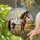 Detailed Appaloosa Horse Stained Glass Art - Tiffany Glass Prairie Sunset Horse Lover Gift Stained Glass Suncatcher - 2