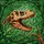 Fossilized T-Rex Skull Dinosaur Claw Prehistoric Jungle Fern Mosaic Tiffany Jewel Tone Stained Glass Suncatcher - 5