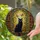 Black Cat Emerald Eyes Tiffany Glass Arched Window Bookshelves & Butterflies Vines Stained Glass Suncatcher - 2