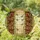 Tiffany Style Stained Glass Butterfly Arched Window Bookshelf Ivy Vines & Leaf Mosaic Stained Glass Suncatcher - 1