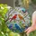 Red Orange Songbirds Kissing - Tiffany Style Stained Glass Birds Cherry Blossom Art Stained Glass Suncatcher - 2
