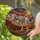 Tyrannosaurus Rex Skeleton Fossil Stained Glass Dinosaur Art Prehistoric Amber Sun Decor Stained Glass Suncatcher - 2