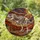 Tyrannosaurus Rex Skeleton Fossil Stained Glass Dinosaur Art Prehistoric Amber Sun Decor Stained Glass Suncatcher - 1