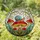 Segmented Snail Mushroom Stained Glass - Tiffany Jewel Tones Intricate Mosaic Art Stained Glass Suncatcher - 1