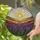 Tiffany Stained Glass Lavender Flower Spikes Sun Hills Cloudscape - Nature Home Gift Stained Glass Suncatcher - 2
