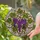 High Contrast Purple Grapes Stained Glass Art - Tiffany Style Grapevine Mosaic Design Stained Glass Suncatcher - 2
