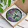 Vibrant Iridescent Hummingbird Stained Glass Flowers - Tiffany Style Mosaic Decor Gift Stained Glass Suncatcher - 3