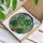 Monstera Leaf Stained Glass Art - Tiffany Style Mosaic Plant Lover Home Decor Stained Glass Suncatcher - 3
