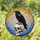 Black Raven Human Skull Stained Glass Orange Eye Mosaic Intricate Patterns Stained Glass Suncatcher - 1