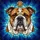 English Bulldog Portrait Stained Glass Mosaic - Tiffany Style Jewel Tone Pet Lover Gift Stained Glass Suncatcher - 5