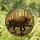 Majestic Wild Boar Profile Forest Undergrowth Stained Glass - Tiffany Style Glowing Jewel Tones Stained Glass Suncatcher - 1