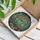 Stained Glass Greenhouse Conservatory - Botanical Flowering Plants Lanterns Mosaic Art Stained Glass Suncatcher - 3