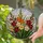 Colorful Gladiolus Flower Bouquet Stained Glass Mosaic - Intricate Tiffany Jewel Tones Stained Glass Suncatcher - 2