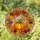 Pumpkin Maple Oak Leaf Tiffany Stained Glass Glowing Mosaic Autumn Harvest Stained Glass Suncatcher - 1