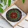 Poinsettia Red Petals Stained Glass Mosaic Christmas - Tiffany Style Holiday Art Stained Glass Suncatcher - 3