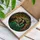Witch Reading Book Black Cat Stained Glass Emerald Green Hat Intricate Foliage Art Stained Glass Suncatcher - 3