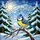 Blue Tit Bird Winter Snow Pine Tree Landscape Stained Glass Art - Jewel Tone Full Moon Stained Glass Suncatcher - 5