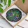 Stained Glass Frog Crown Water Lily Lotus Tiffany Style - Iridescent Jewel Tone Aquatic Mosaic Art Stained Glass Suncatcher - 3