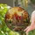 Tiffany Style Stained Glass Cottage, Radiant Sun, Jewel Tone Flowers & Autumn Trees Stained Glass Suncatcher - 2
