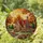 Tiffany Style Stained Glass Cottage, Radiant Sun, Jewel Tone Flowers & Autumn Trees Stained Glass Suncatcher - 1