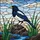 Black & White Bird Orange Beak on Rocks Stained Glass Art - Intricate Tiffany Sky Mosaic Stained Glass Suncatcher - 5