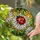 Red Ladybug White Daisy Dewdrop Stained Glass - Tiffany Style Nature Window Art Stained Glass Suncatcher - 2