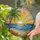 Tropical Palm Tree Sunset Ocean Beach Blooming Flowers - Stained Glass Style Art Stained Glass Suncatcher - 2
