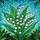Lily of the Valley Red Berry Tiffany Glass Mosaic Glowing Jewel Tone Floral Art Decor Stained Glass Suncatcher - 5