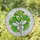 Highly Detailed Ginkgo Leaves Translucent Stained Glass - Tiffany Style Mosaic Green White Stained Glass Suncatcher - 1