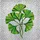 Highly Detailed Ginkgo Leaves Translucent Stained Glass - Tiffany Style Mosaic Green White Stained Glass Suncatcher - 5