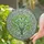 Glowing Ginkgo Biloba Stained Glass Mosaic Leaves - Tiffany Style Nature Window Decor Art Stained Glass Suncatcher - 2